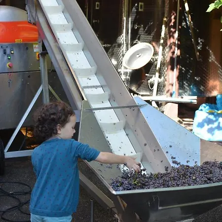 D'hotes Chez Caroline 3* קולמר