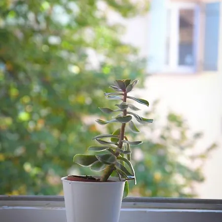 D'hotes Chez Caroline לינה וארוחת בוקר